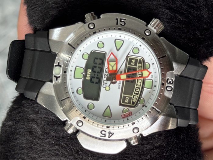 Citizen Promaster